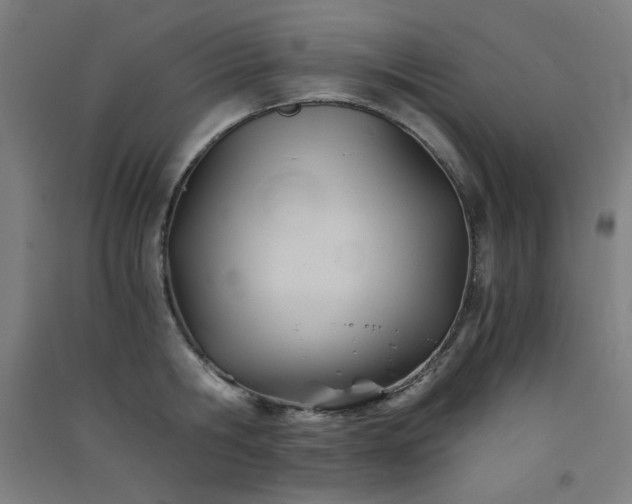X0000091570806200708201144