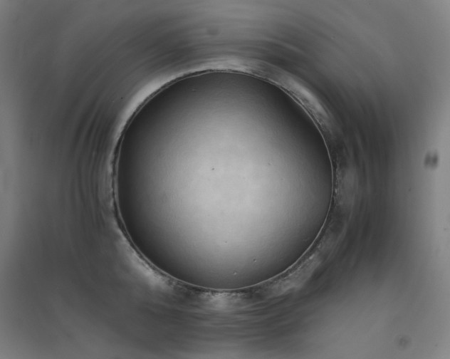 X0000091570808200708201144