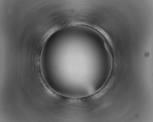 X0000091570809200708201144