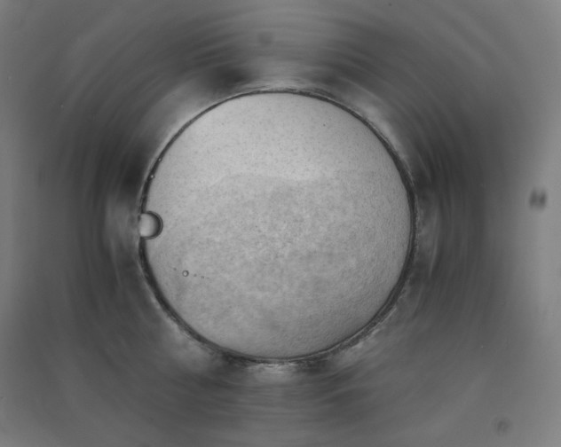 X0000091570810200708201144