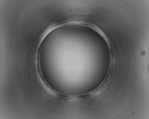 X0000091570811200708201144