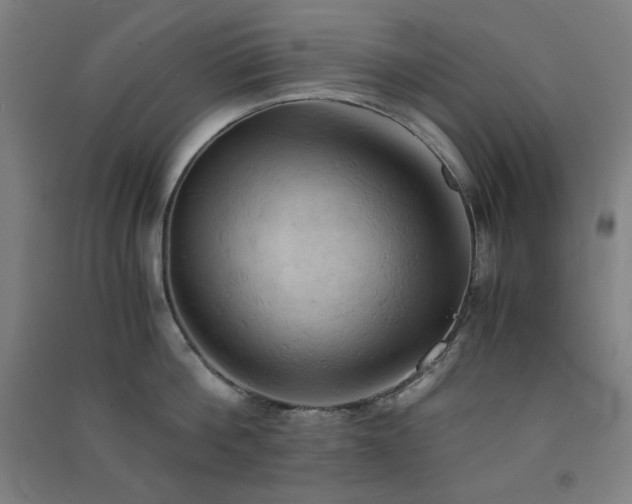 X0000091570812200708201144