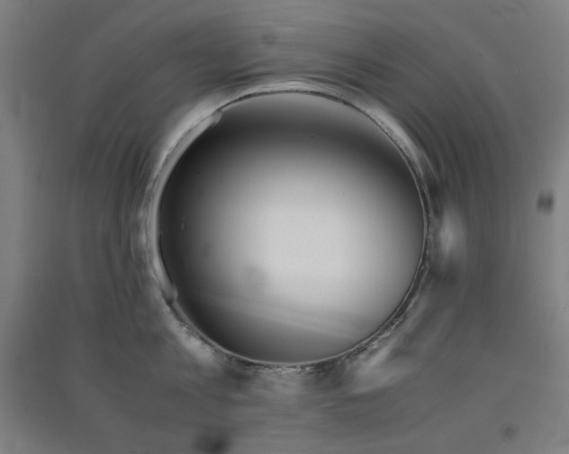 X0000091570813200708201144