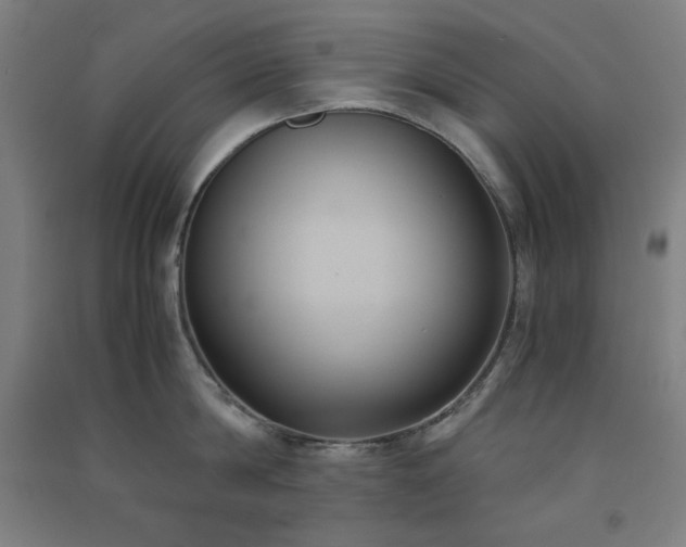 X0000091570814200708201144
