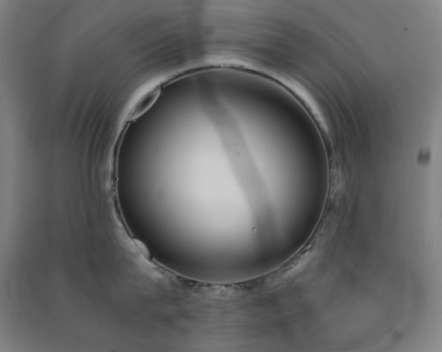 X0000091570815200708201144