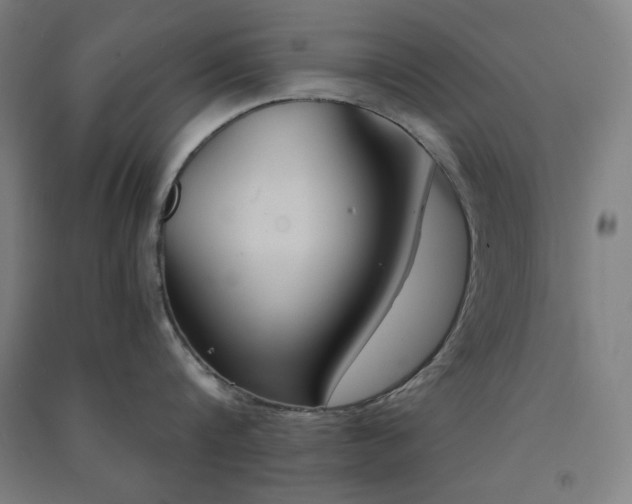 X0000091570816200708201144