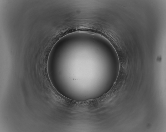 X0000091570817200708201143