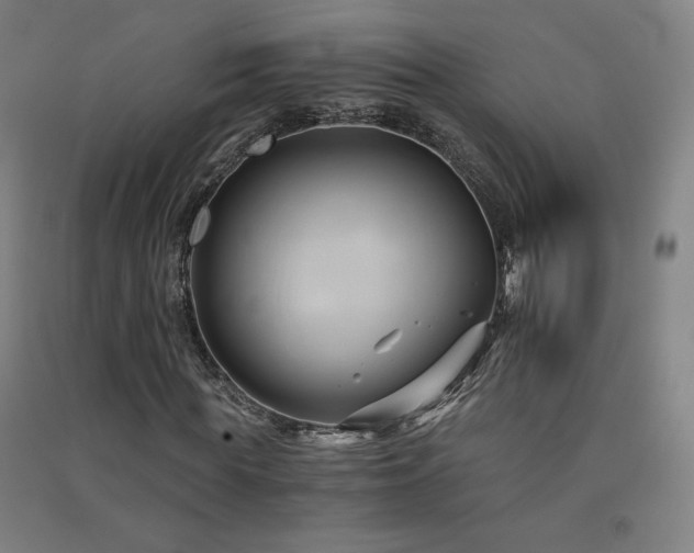 X0000091570819200708201143