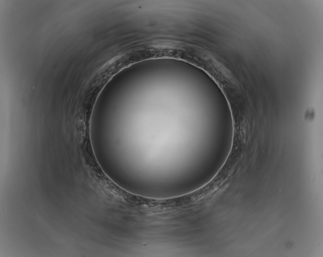 X0000091570821200708201143