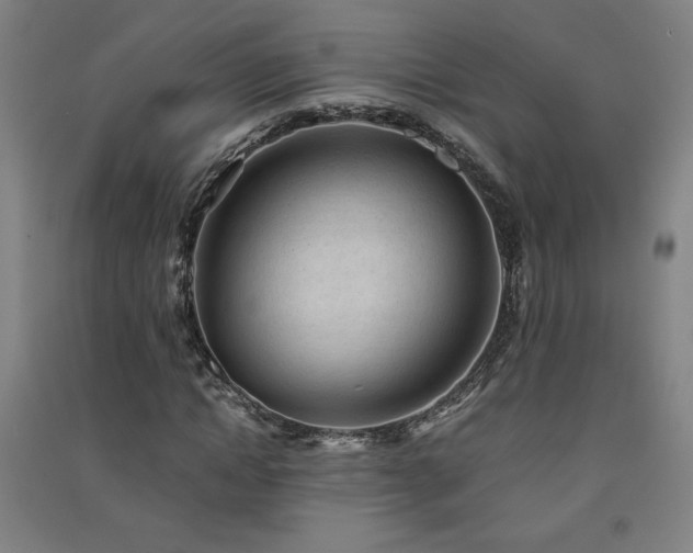X0000091570822200708201143