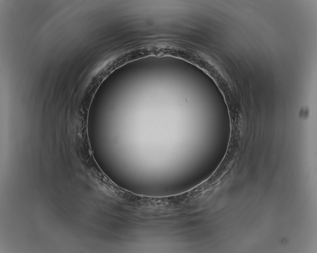 X0000091570823200708201143