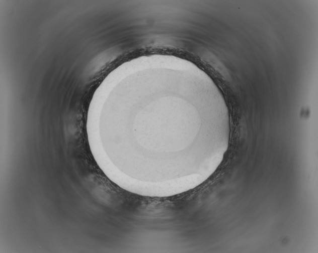 X0000091570824200708201143