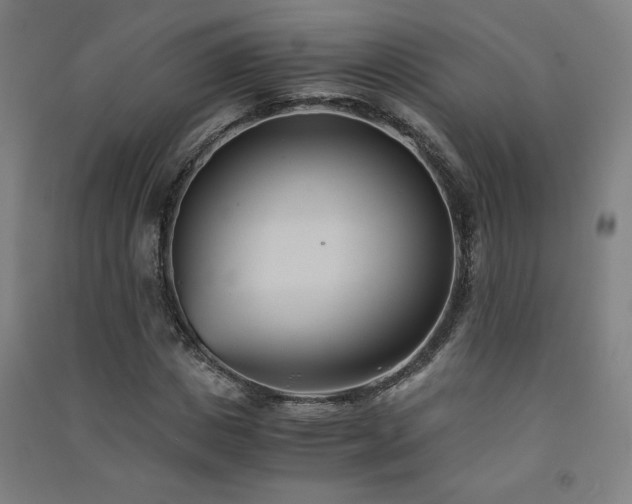 X0000091570825200708201143
