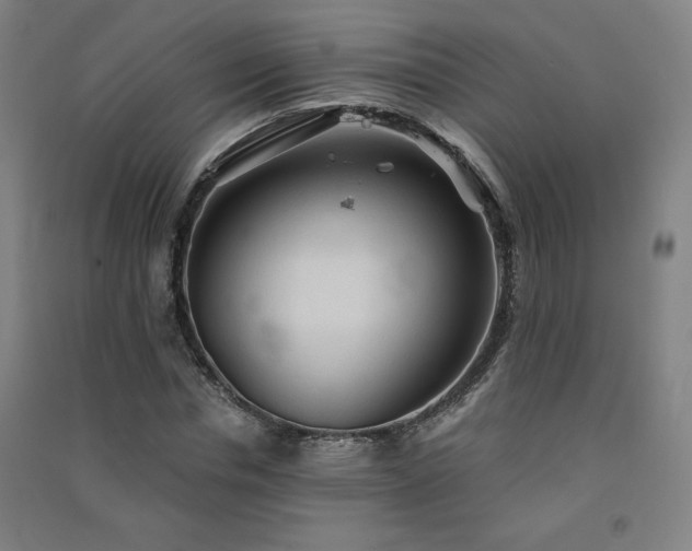 X0000091570826200708201143