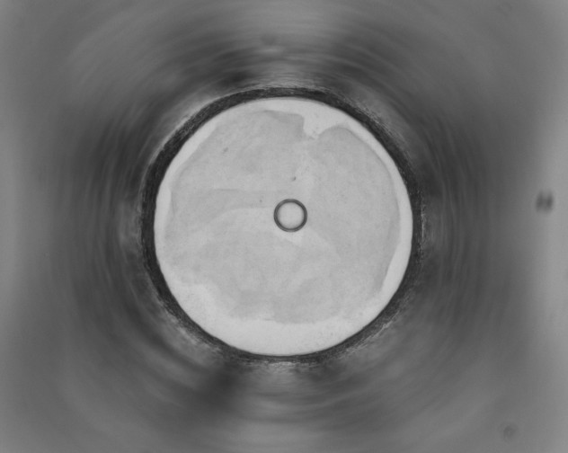 X0000091570828200708201143