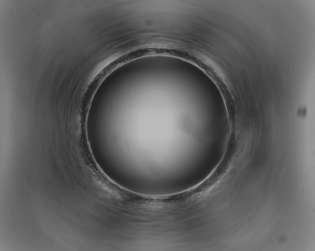 X0000091570829200708201143
