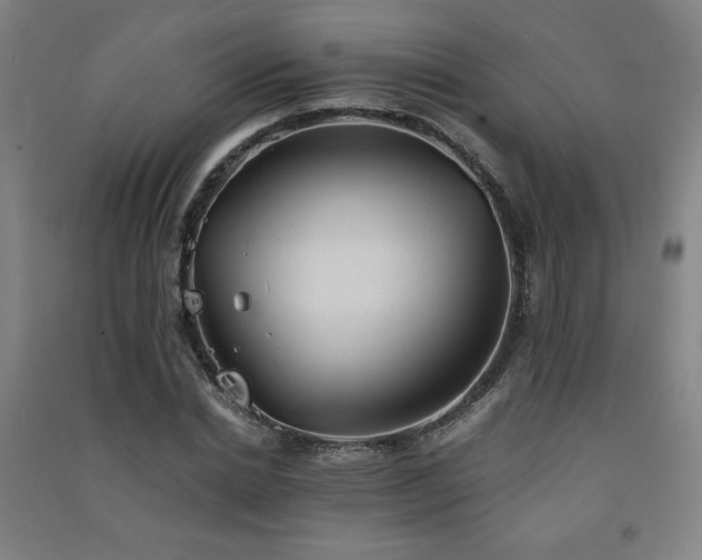 X0000091570830200708201143