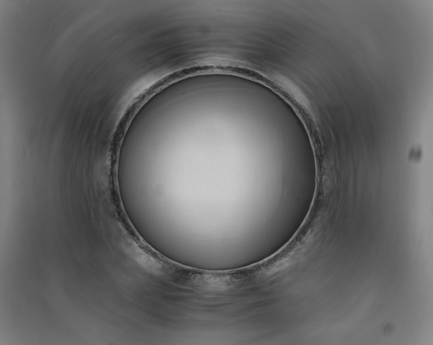 X0000091570831200708201143