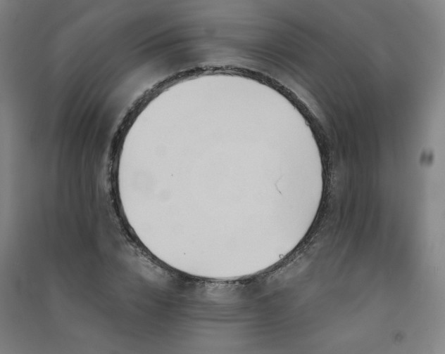 X0000091570832200708201143