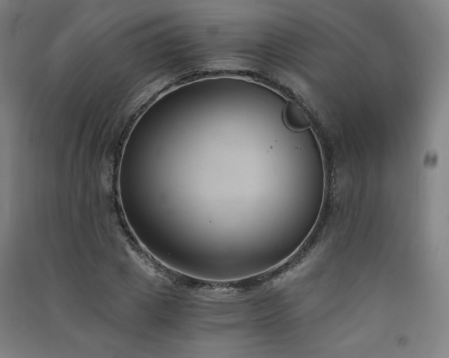 X0000091570833200708201143