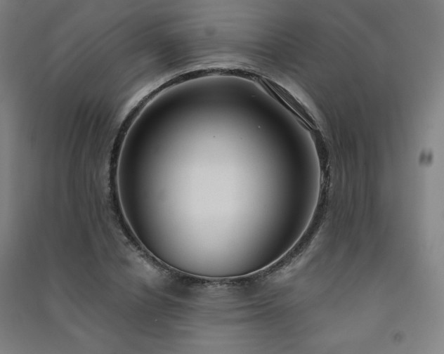 X0000091570834200708201143