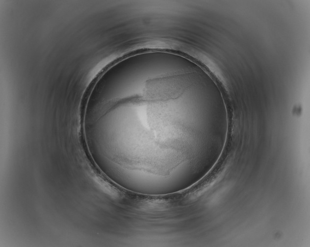 X0000091570837200708201143