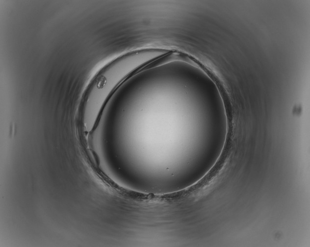 X0000091570838200708201143