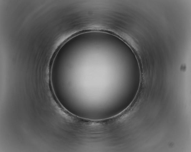 X0000091570839200708201143