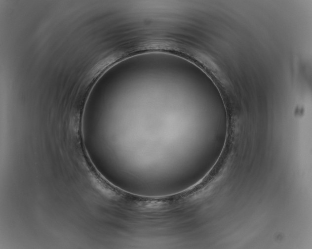 X0000091570841200708201143