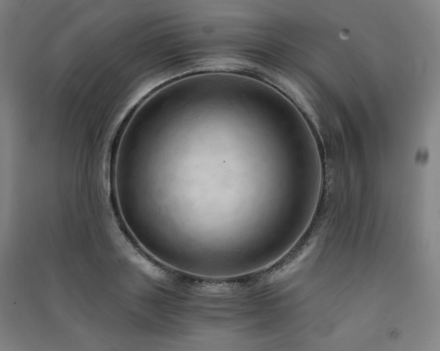 X0000091570843200708201143