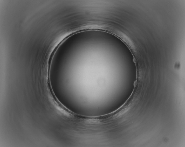 X0000091570844200708201143
