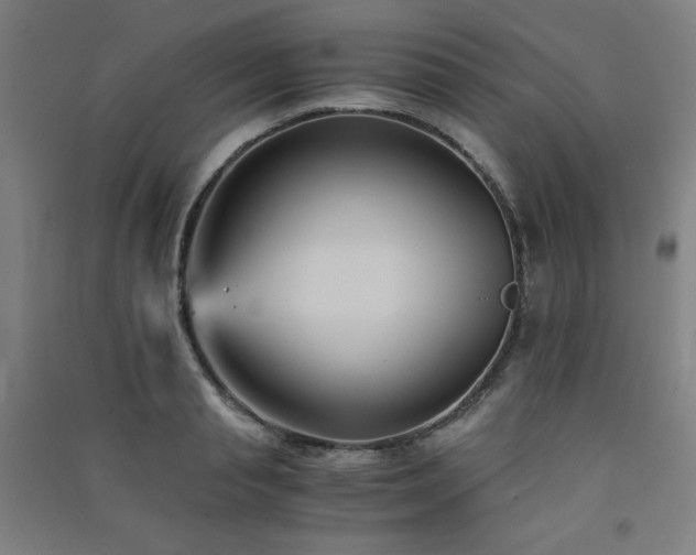 X0000091570845200708201143
