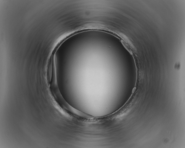 X0000091570846200708201143