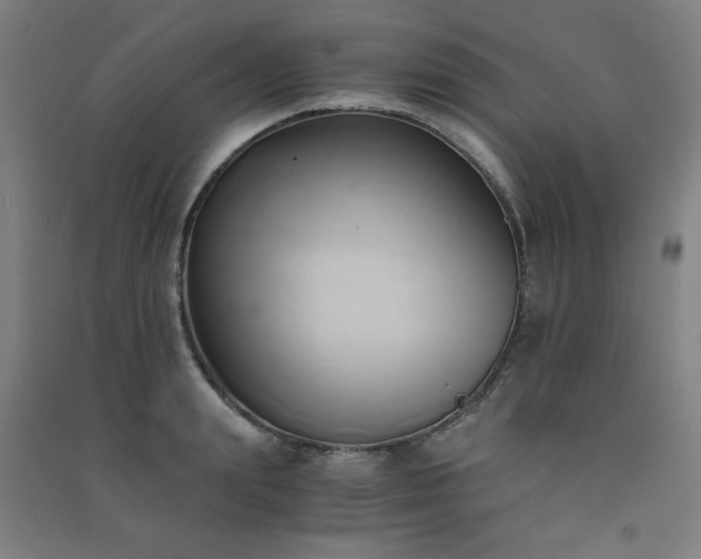 X0000091570847200708201144