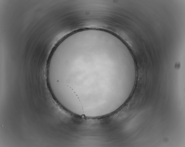 X0000091570848200708201144