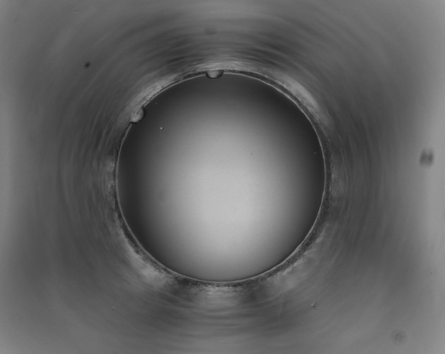 X0000091570849200708201144