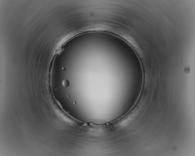 X0000091570850200708201144
