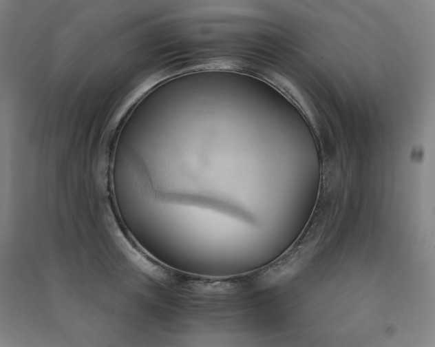 X0000091570851200708201144