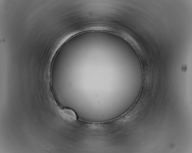 X0000091570852200708201144