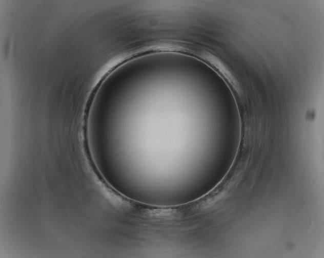 X0000091570853200708201144