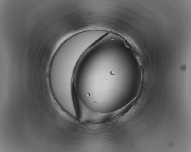 X0000091570854200708201144