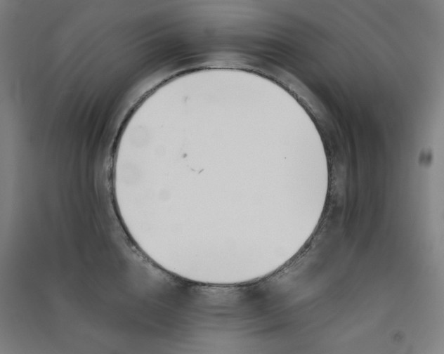 X0000091570856200708201144