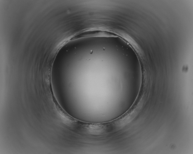 X0000091570857200708201144