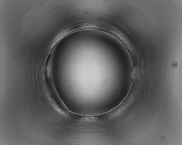X0000091570858200708201144