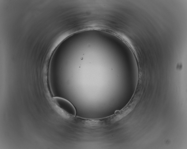 X0000091570859200708201144