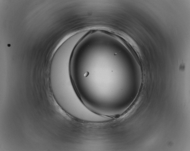 X0000091570860200708201144