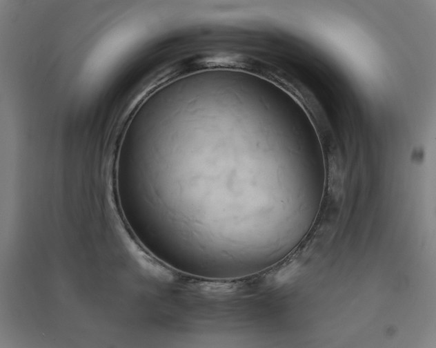 X0000091570861200708201144