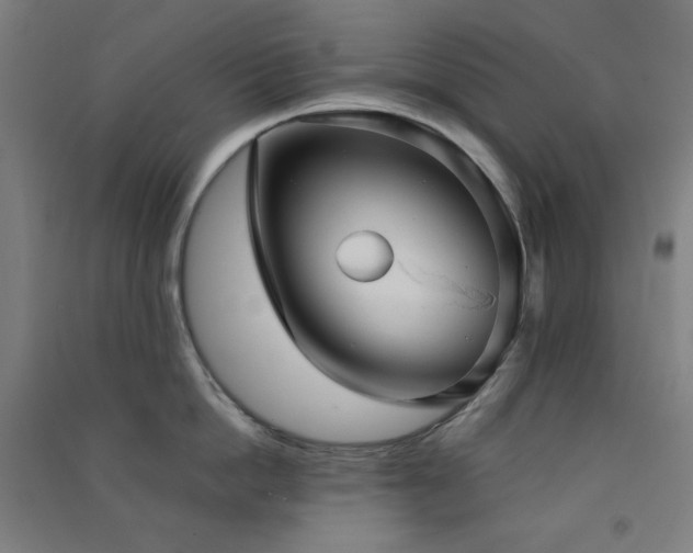 X0000091570862200708201144