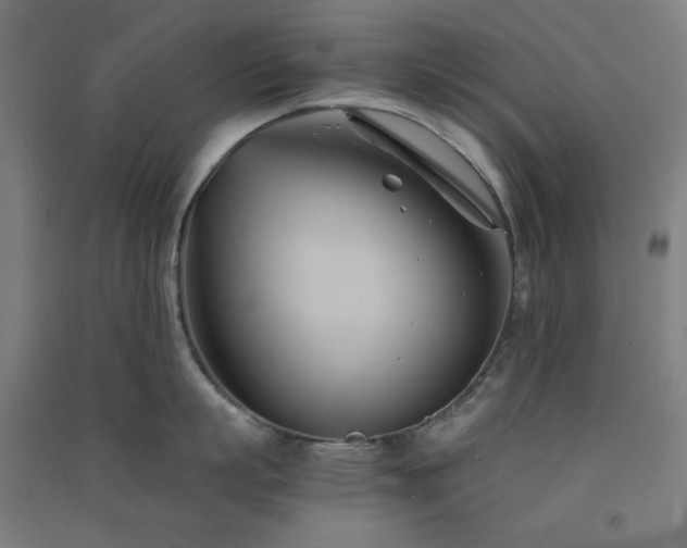X0000091570863200708201144