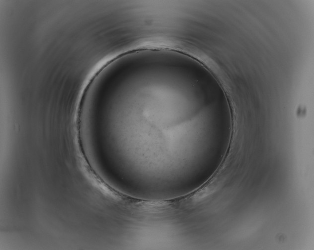 X0000091570864200708201144
